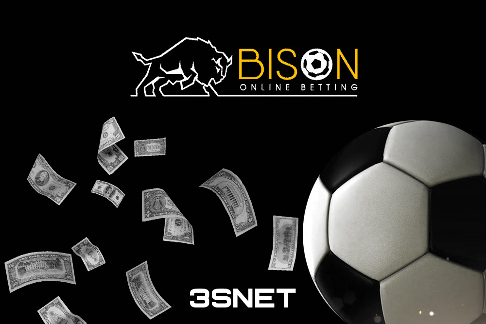 Партнерская программа Bison, все условия подключения ищите на 3SNET